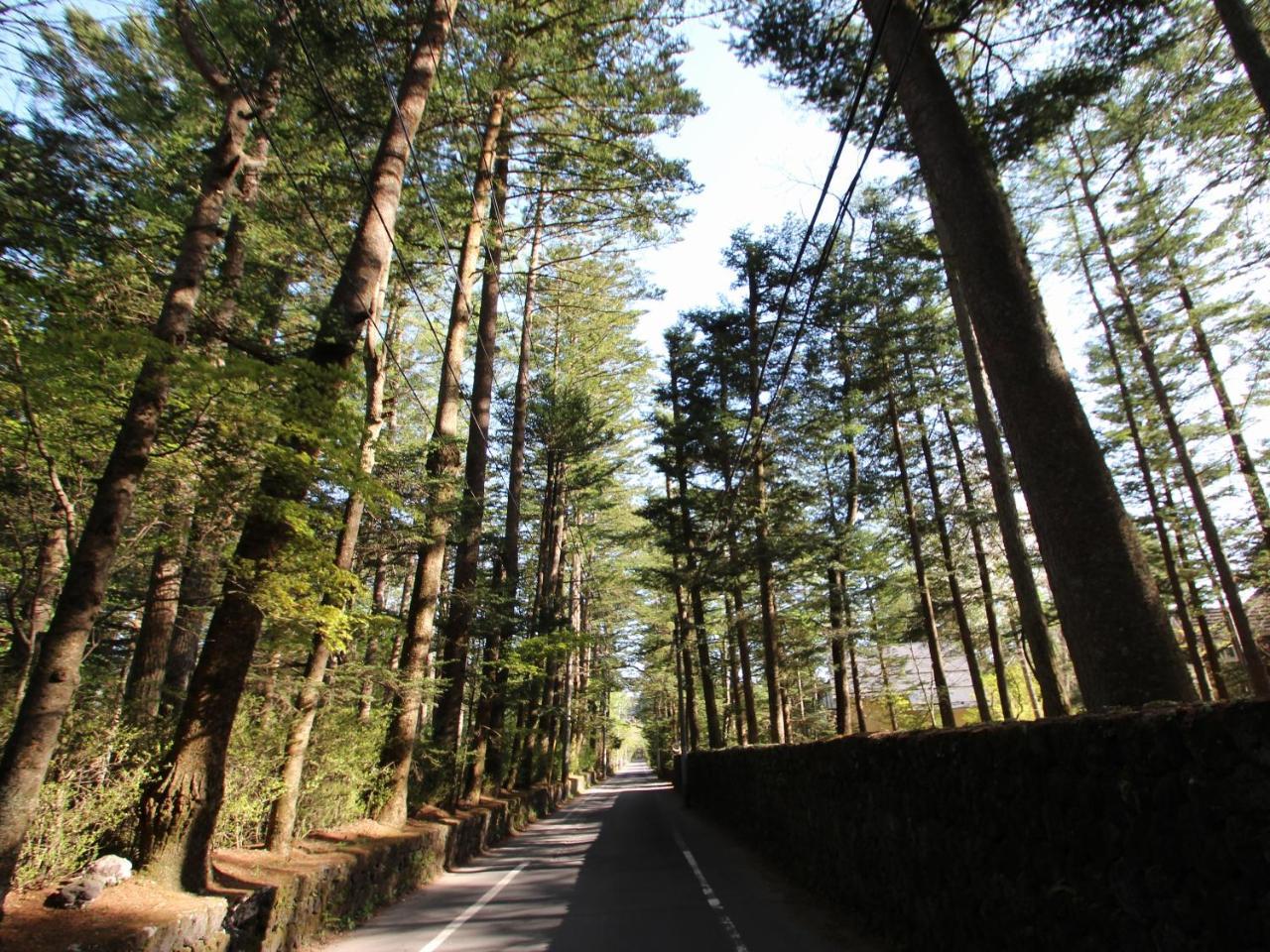 Apa Hotel Karuizawa Ekimae Karuizawaso Екстер'єр фото
