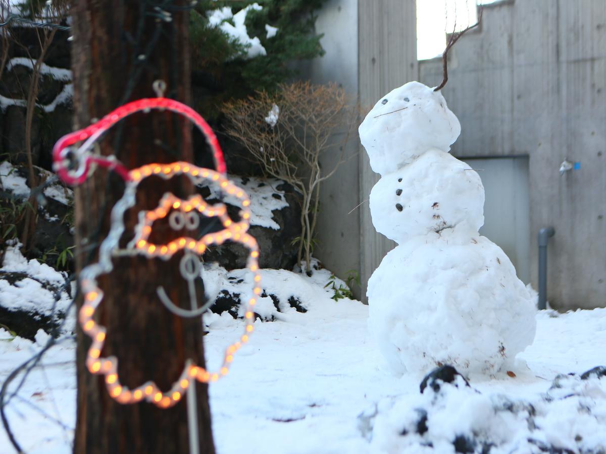 Apa Hotel Karuizawa Ekimae Karuizawaso Екстер'єр фото